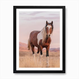 Paint Horse In Desert Art Print