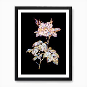 Stained Glass White Rose Mosaic Botanical Illustration on Black n.0328 Art Print