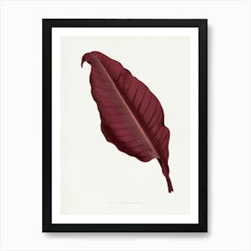 Vintage Botanical Art Print _2643242 Art Print