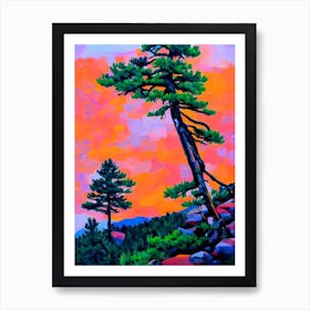 Rocky Mountain Juniper Tree Cubist 2 Art Print