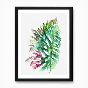 Gossamer Fern Watercolour Art Print