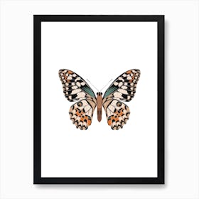 Mariposa Butterfly Art Print