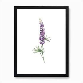 Mystical Purple Lupine Watercolor Art Art Print