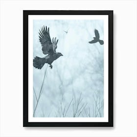 Crows In Flight 2 Art Print