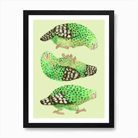 Kakapo Art Print