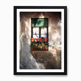 The Urban Garden Art Print