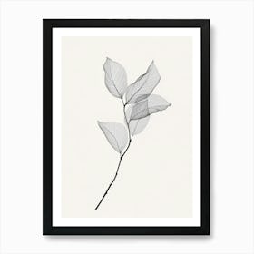 Leaf On A Branch 2 Art Print