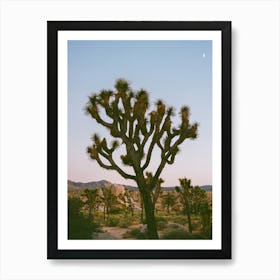 Joshua Tree Moon VIII on Film Art Print