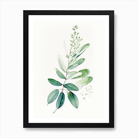 Wintergreen Herb Minimalist Watercolour Art Print