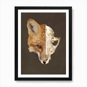 Fox Skull Art Print