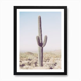 Saguaro Cactus In Arizona Art Print