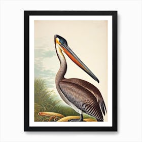 Brown Pelican James Audubon Vintage Style Bird Art Print