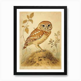 Burrowing Owl Vintage Illustration 4 Art Print