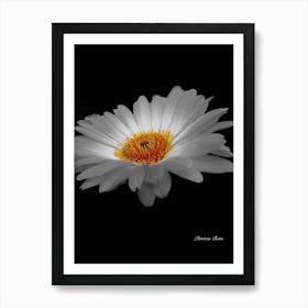 Daisy - Selective Color - Photography Art Print