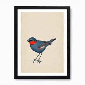 Finch Illustration Bird Art Print