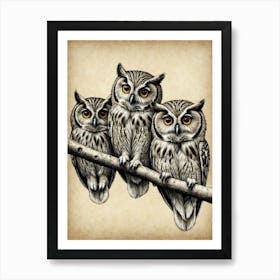 Owls On A Branch Art Print