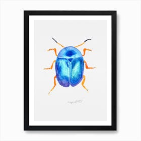 Colaphus sophiae, a leaf beetle, watercolor artwork Art Print