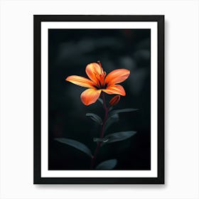 Orange Lily 4 Art Print