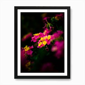 Flowers In The Dark Art Print