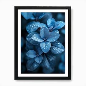 Blue Leaves With Water Droplets Art Print