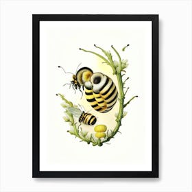 Larva Bees 3 Vintage Art Print