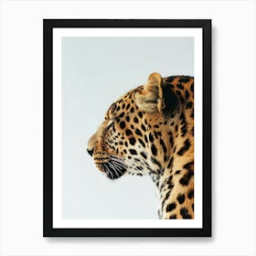 Leopard 26 Art Print