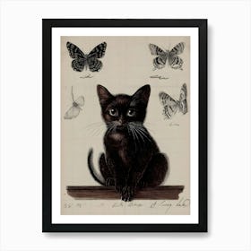 Black Cat With Butterflies Art Print