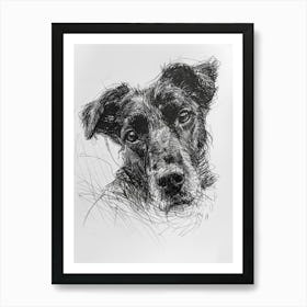 Beauceron Dog Line Sketch  4 Art Print