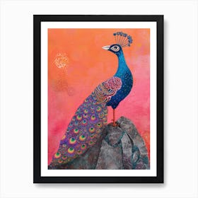 Colourful Peacock On A Rock 1 Art Print