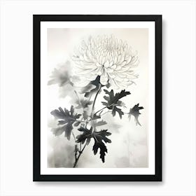 Chrysanthemum 5 Art Print