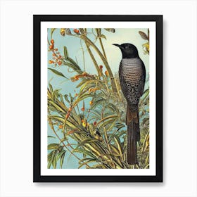 Cuckoo 3 Haeckel Style Vintage Illustration Bird Art Print