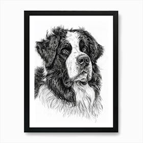 Newfoundland Dog Line Sketch 2 Art Print