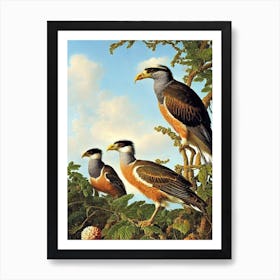 Crested Caracara Haeckel Style Vintage Illustration Bird Art Print