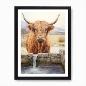 Highland Cow Drinking Out Of Brickwork Trough Art Print