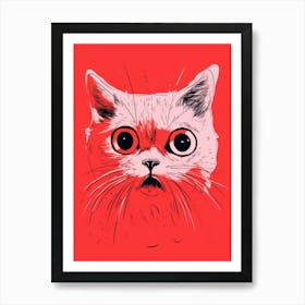 Cat With Big Eyes Art Print