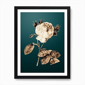 Gold Botanical Centifolia Roses on Dark Teal Art Print