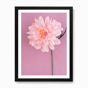 Paper Dahlia Flower Art Print