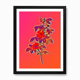 Neon Single May Rose Botanical in Hot Pink and Electric Blue n.0587 Art Print