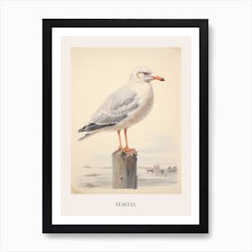 Vintage Bird Drawing Seagull 1 Poster Art Print