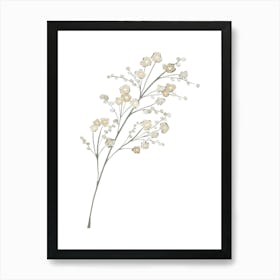 White Flowers On A Branch Art Print