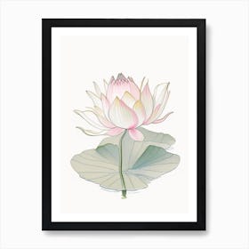 Blooming Lotus Flower In Lake Pencil Illustration 2 Art Print