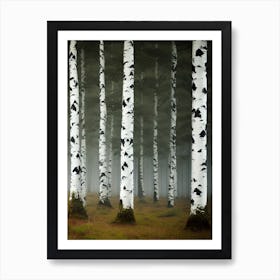 Birch Forest 91 Art Print