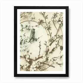 Bird On A Branch 1 Art Print