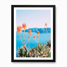 Aloe Vera Flowers Art Print