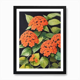 Orange Flowers On A Black Background Art Print