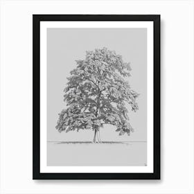 Elm Tree Minimalistic Drawing 3 Art Print