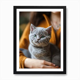 British Shorthair Kitten 1 Art Print