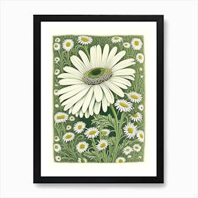 Oxeye Daisy 1 Floral Botanical Vintage Poster Flower Art Print