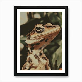 Lizard 6 Art Print