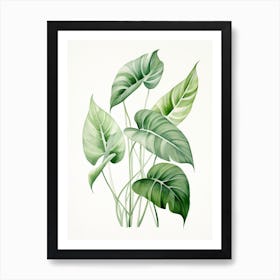 Tropical Leaves 4 Art Print